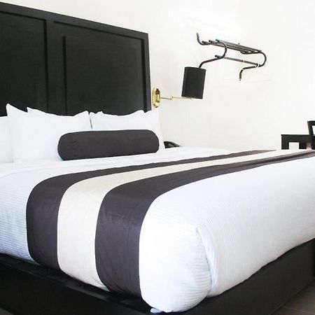 Hotel El Camino Inn & Suites Reynosa Exterior foto